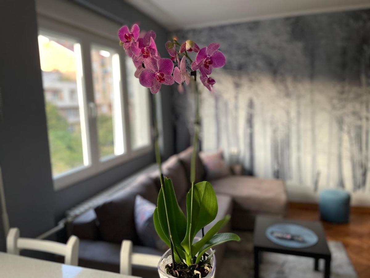 Apartman Avenia Novi Sad Exteriér fotografie