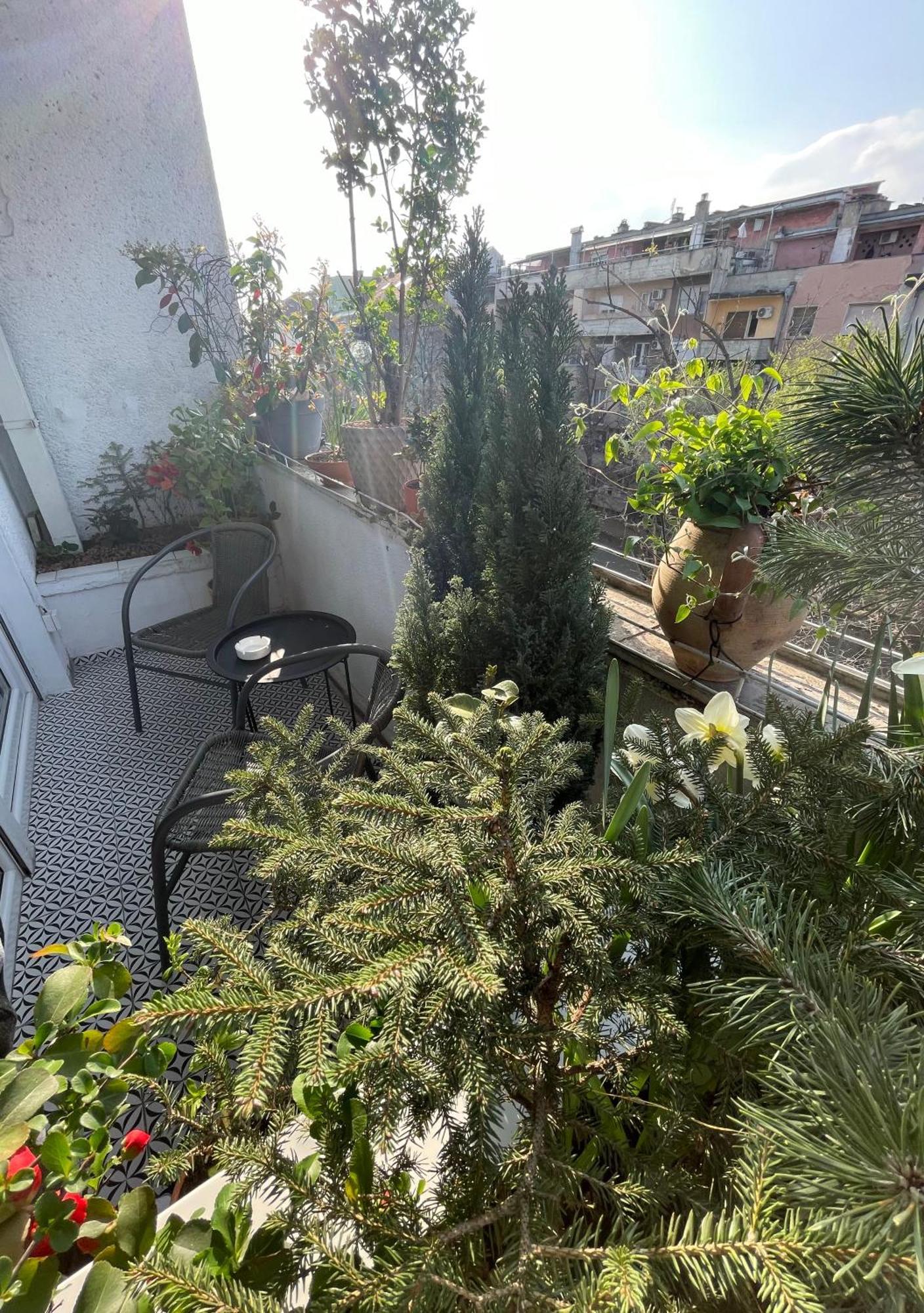 Apartman Avenia Novi Sad Exteriér fotografie