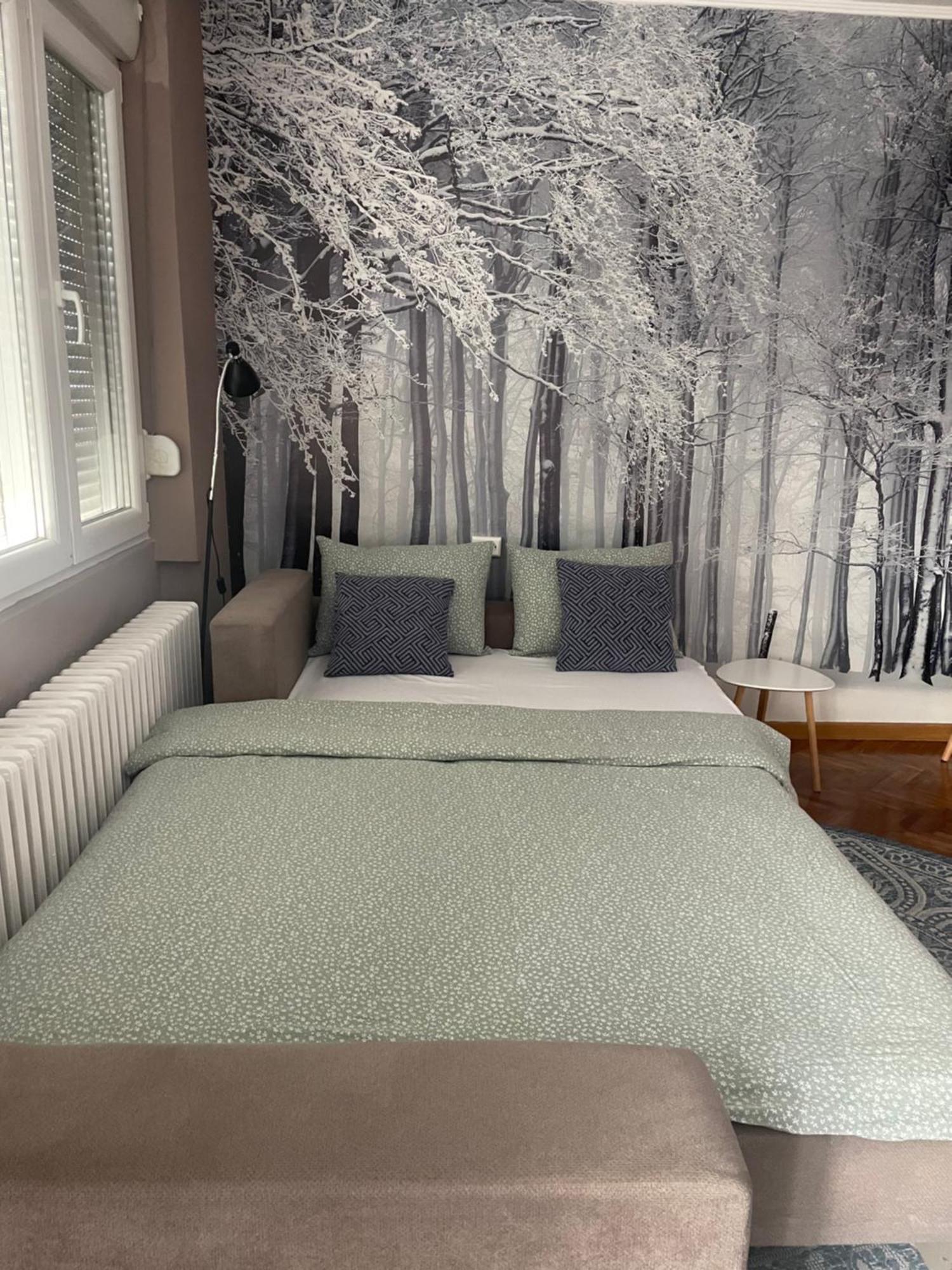 Apartman Avenia Novi Sad Exteriér fotografie